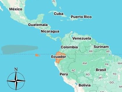 Plataforma Internacional por los DDHH detalla las denuncias de infracciones electorales y uso irregular de recursos públicos en las elecciones en Ecuador
