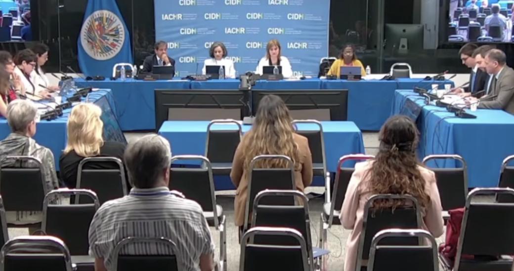 Demandas de organizaciones de DD.HH y la ANEF a la CIDH