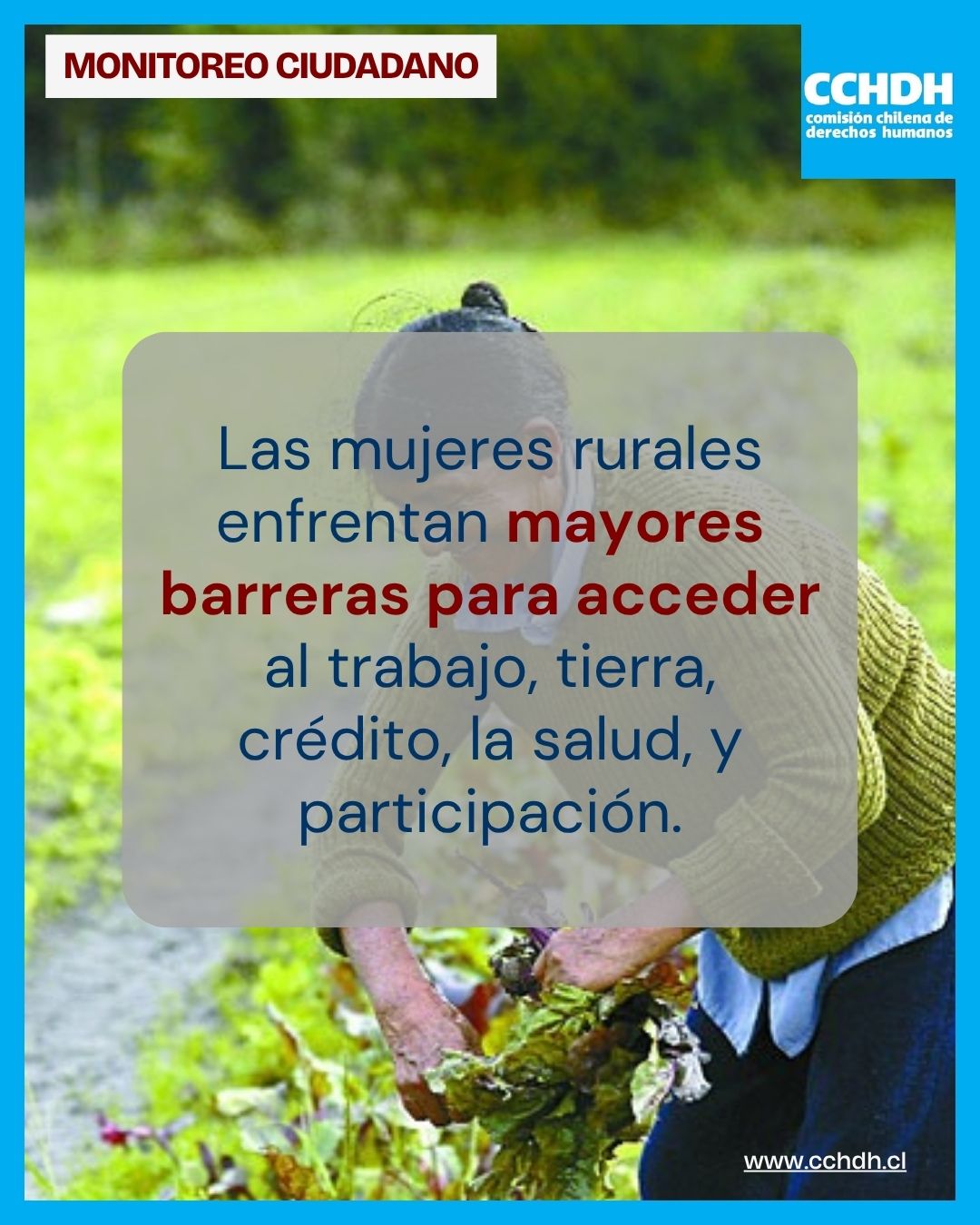Políticas públicas y mujeres rurales: La prohibición internacional de retroceso en la protección social